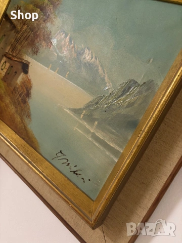 Антична картина с рамка 🎨, снимка 2 - Картини - 55081002