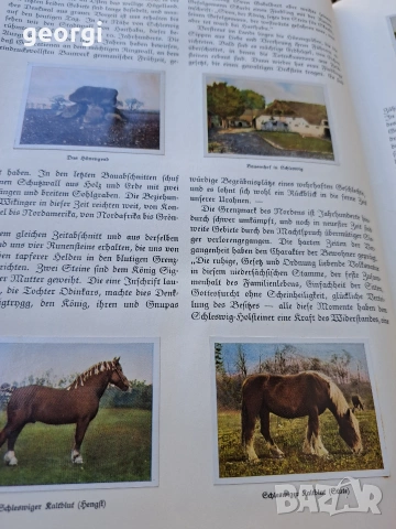 стар немски албум с картички от 1935г. 35/4, снимка 15 - Колекции - 55239806