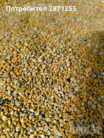 Пчелен прашец 2026г, снимка 2 - Пчелни продукти - 54441374