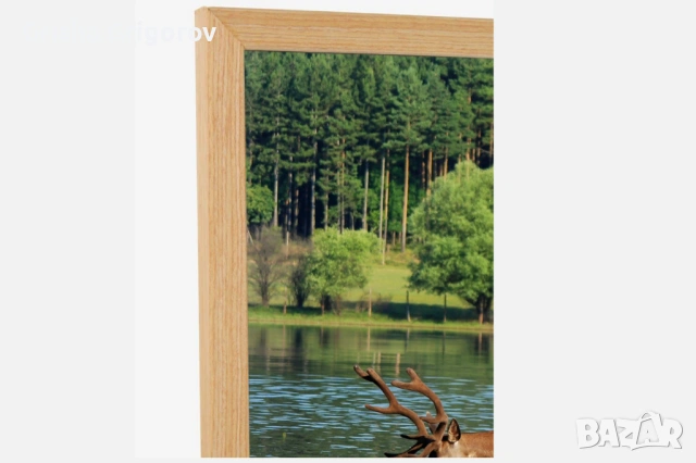 Фотокартина с благороден елен, снимка 2 - Декорация за дома - 53961030