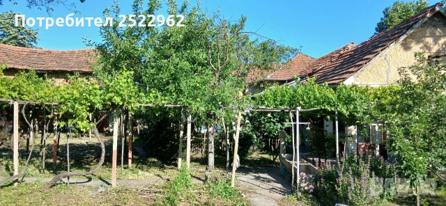 Продавам къща в село Гиген, снимка 9 - Къщи - 55160527