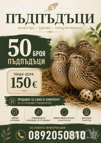 Продавам пъдпъдъци на 7 месеца 