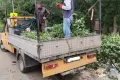Изхвърляне стари мебели , снимка 6