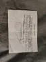 стар документ Диплома счетоводител 1953 +, снимка 3