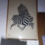 картина VICTOR VASARELY литография незнам дали е истинска , утре ще я взема , снимка 1