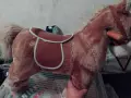 Детска  конче внос от Белгия , снимка 4