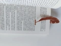 Книгоразделител, снимка 3