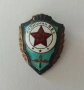 Знак Отличник ВВС (Отличен войник на военновъздушните сили). бронз. емайл., снимка 3