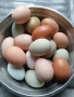 Домашни яйца, снимка 1