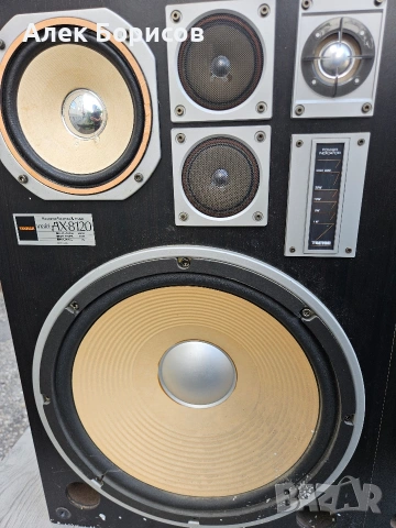 Тонколони Tamon AX-8120 15 инча, снимка 3 - Тонколони - 54904120