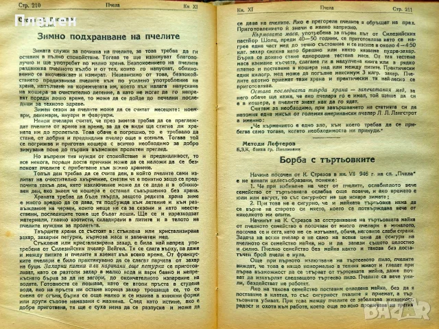 Пчела. Кн. 1-12 / 1947, снимка 8 - Антикварни и старинни предмети - 55327193