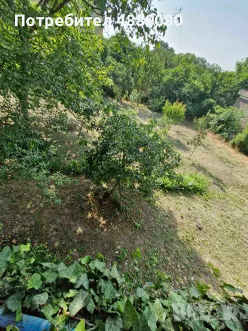 Къща в центъра на Мизия. 4 стаи. Мазе 30кв.м. Конвектори, печки, пералня,хладилник, млада овошка СОТ, снимка 7 - Къщи - 55326524