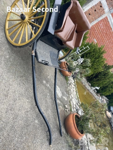 Файтон /Каляска/Карета/Каруца, снимка 4 - Други животни - 54170102