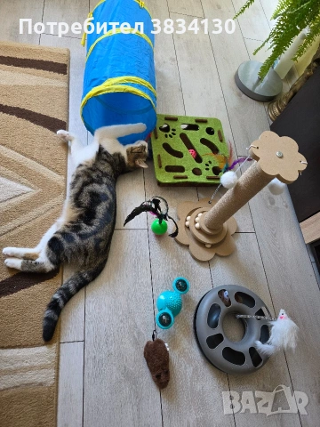 Котешки играчки (,легло ,тунел,чесалка, 2 бр.мишлета, квадрат ,кръг, и още 2 други), снимка 7 - За котки - 55185922