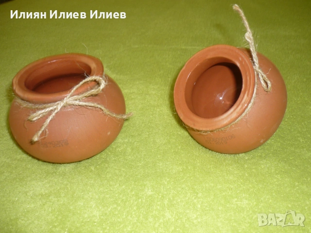 Цветя стайни, снимка 15 - Градински цветя и растения - 49739547