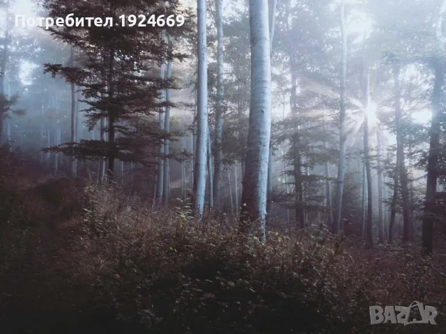 Планински велосипед 26 инча 21 скорости алуминий рама 2O5E, снимка 2 - Сортови семена и луковици - 55445570