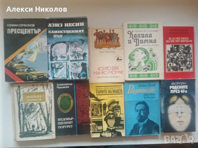 Голяма колекция от книги – Разнообразни жанрове (Класика, Трилъри, Криминални, Исторически), снимка 2 - Художествена литература - 55168066