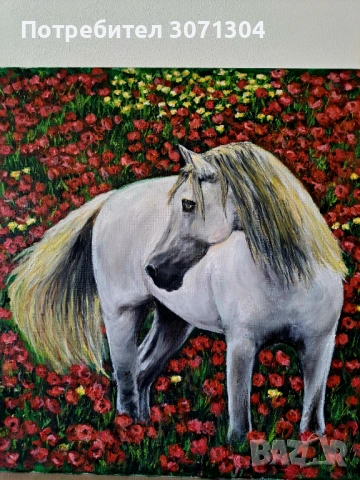 В маково поле