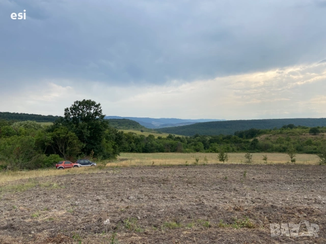 Земеделска земя с рента 80–100 лв/дка – обл. Варна