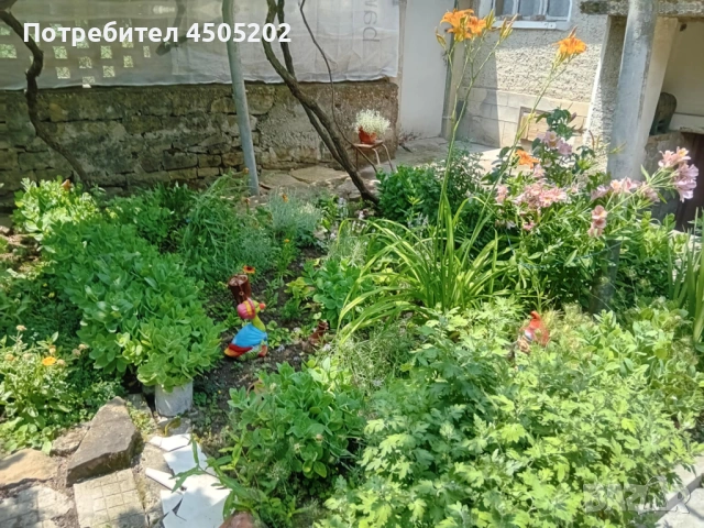 Къща за продан в с. Козаревец, снимка 3 - Къщи - 54023942