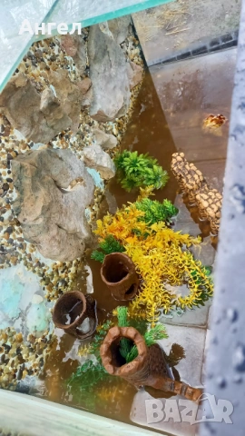 Аквариум за рибки , снимка 6 - Аквариуми - 54006395