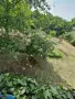 Къща в центъра на Мизия. 4 стаи. Мазе 30кв.м. Конвектори, печки, пералня,хладилник, млада овошка СОТ, снимка 7