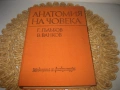 Анатомия на човека - 1977 г., снимка 1