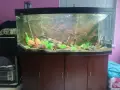 Продавам аквариум 400л , снимка 1