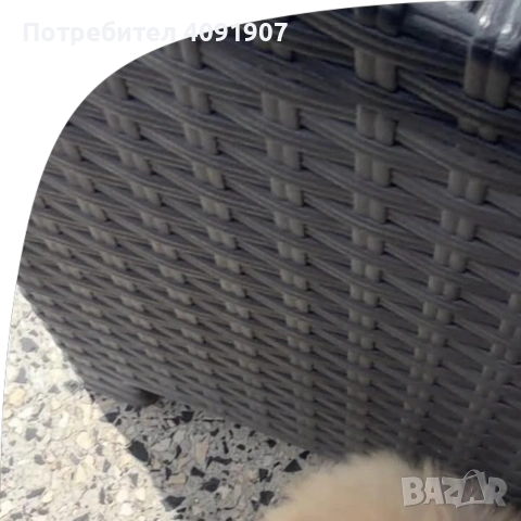Померани, снимка 4 - Други - 55047048