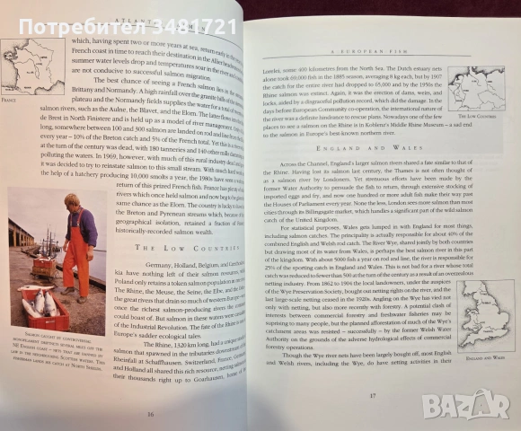 Атлантическата сьомга - илюстриран справочник / Atlantic Salmon. An Illustrated History, снимка 6 - Енциклопедии, справочници - 54956938