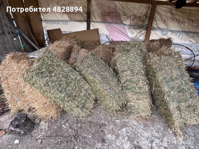 1. Бр 10 евро който иска дами се обажда0876844507