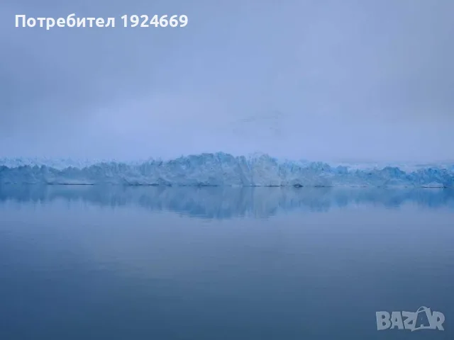 Висок клас динамичен микрофон за професионална употреба 5L3M, снимка 2 - Други инструменти - 55445565