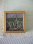 Картина малка, снимка 1