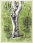 Картина, рисунка, графика, подписана., снимка 2