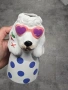 вази кучета , снимка 1