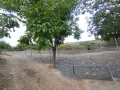 Парцел до Сребърното Езеро  с.Колена, снимка 12