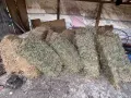 1. Бр 10 евро който иска дами се обажда0876844507, снимка 1