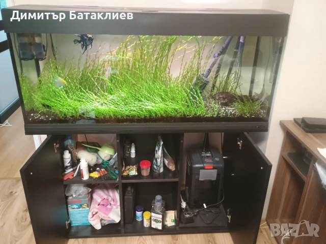 Аквариум със шкаф и каниастър, снимка 2 - Аквариуми - 54747572