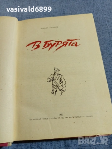 Никола Голанов - В бурята , снимка 4 - Българска литература - 55160983