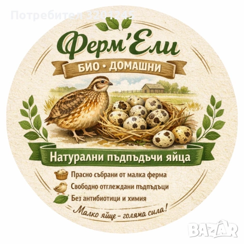 Продавам пъдпъдъци на 7 месеца , снимка 2 - Други - 54685630
