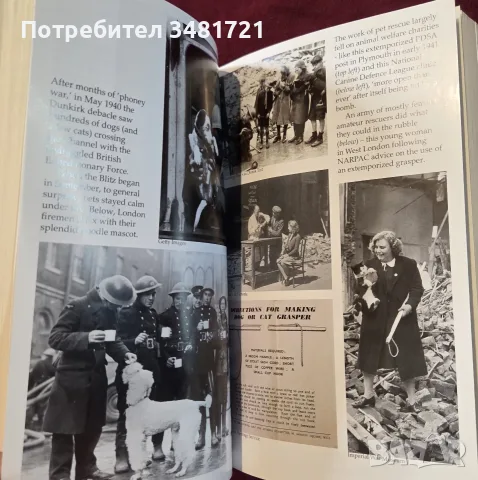 Bonzo's War. Animals Under Fire 1939-1945, снимка 6 - История, политика и общество - 55362731