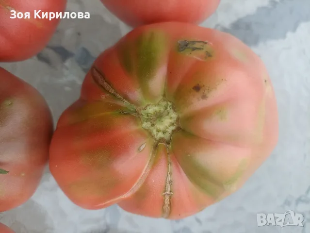 Свежи черита в кутийка , снимка 4 - Домашни продукти - 55347675