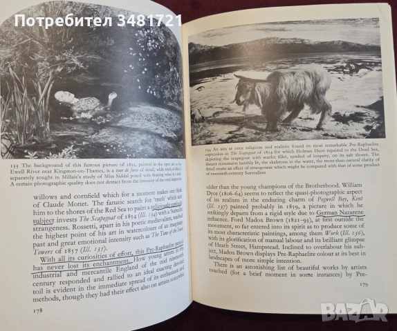 Визуална история на английското изобразително изкуство / A Concise History of English Painting, снимка 12 - Изкуство, музика, кино и фотография - 55065435