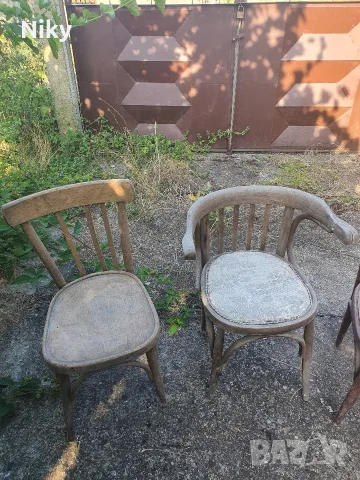 Виенски столове , снимка 3 - Столове - 55302326