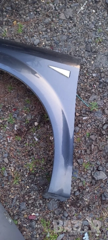 Ляв калник Renault Scenic II, снимка 2 - Части - 54096511