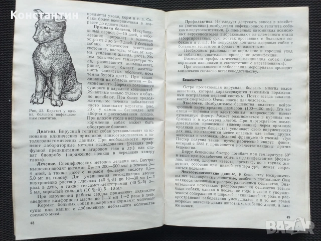 Болести на кучета и котки, снимка 3 - Специализирана литература - 55211338