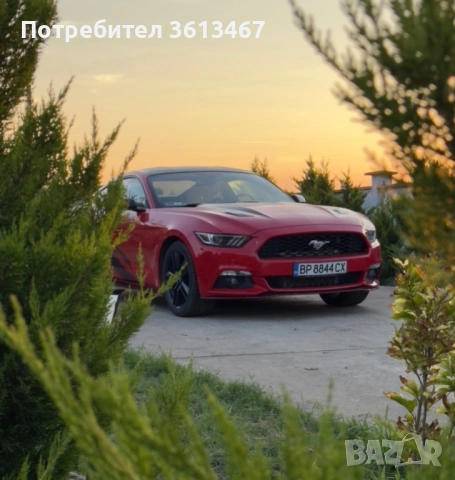 Ford Mustang 2.3 eco bust, снимка 2 - Автомобили и джипове - 54935470