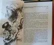 Редки книги-игри , снимка 5