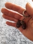 Стар ключодържател Боксови ръкавици ЦСКА, снимка 4