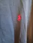 Мъжка тениска Polo RalfLauren., снимка 6